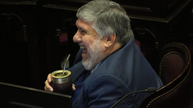 Más malas noticias para Milei: el Senado se prepara para voltearle este jueves el veto a la emergencia en discapacidad
