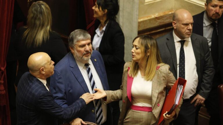 No hay dos sin tres: el Senado busca este jueves voltear el veto a la ley de ATN