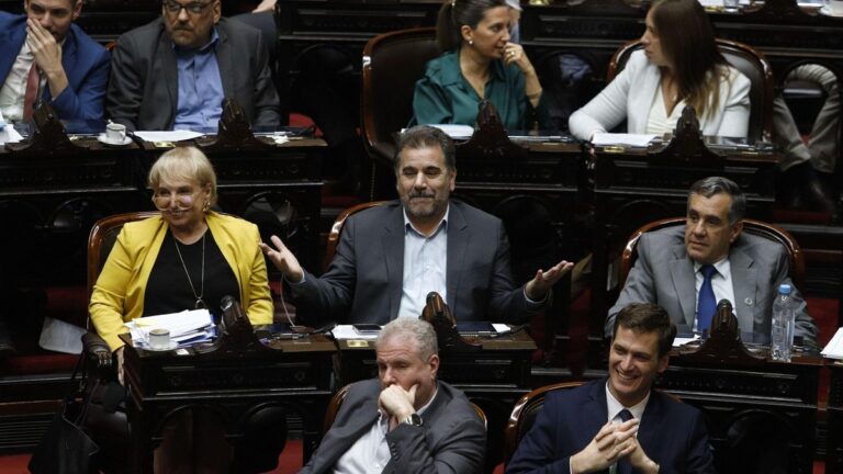 Golpe amortiguado: la oposición sanciona la reforma de la Ley de DNU pero le introduce modificaciones y vuelve al Senado