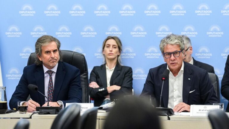 “Bertie” Benegas Lynch fracasa en ordenar el debate y el titular de ARCA manda a trabajar a los diputados