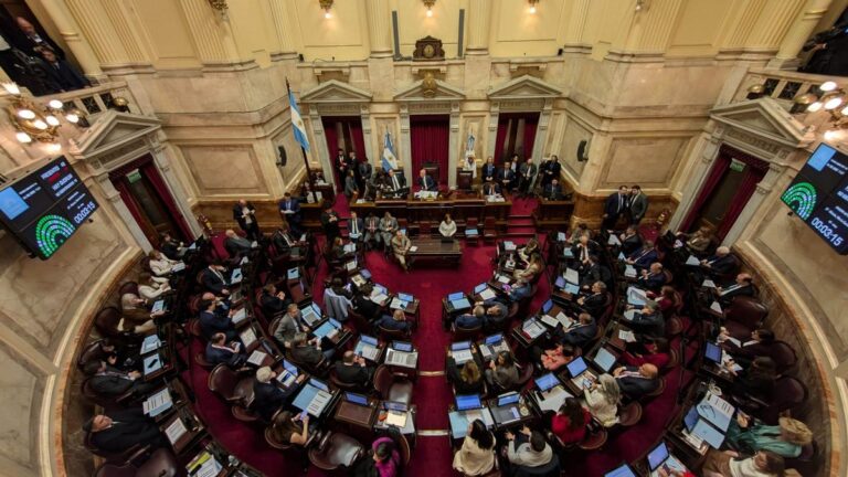 Nuevo golpe a Milei: el Senado sesiona para voltear el veto a la emergencia pediátrica y el financiamiento universitario