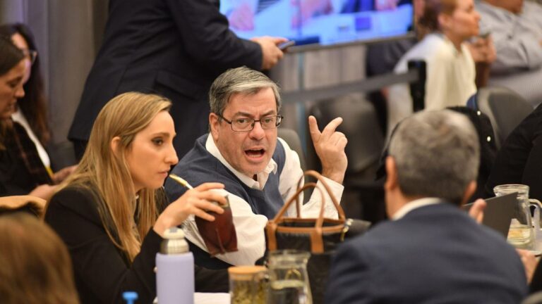 El peronismo apura sus últimas jugadas en el Congreso antes del cambio de fuerzas y busca aprobar la ley de DNU El peronismo apura sus últimas jugadas en el Congreso antes del cambio de fuerzas y busca aprobar la ley de DNU