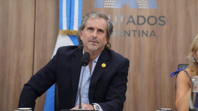 Presupuesto: Benegas Lynch fue ratificado al frente de la comisión y el oficialismo acelera el debate