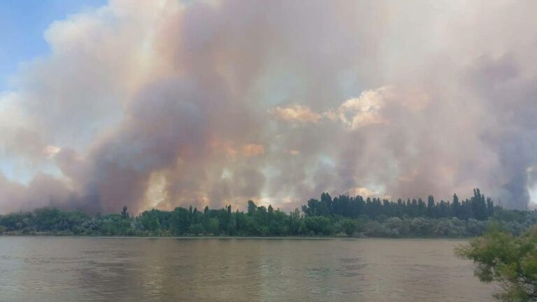 Ya son más de 3.000 las hectáreas afectadas por incendios en la Patagonia