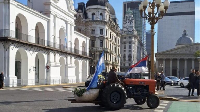 El nuevo rol del Instituto de la Yerba Mate: alineamiento ideológico y un mercado sin árbitro
