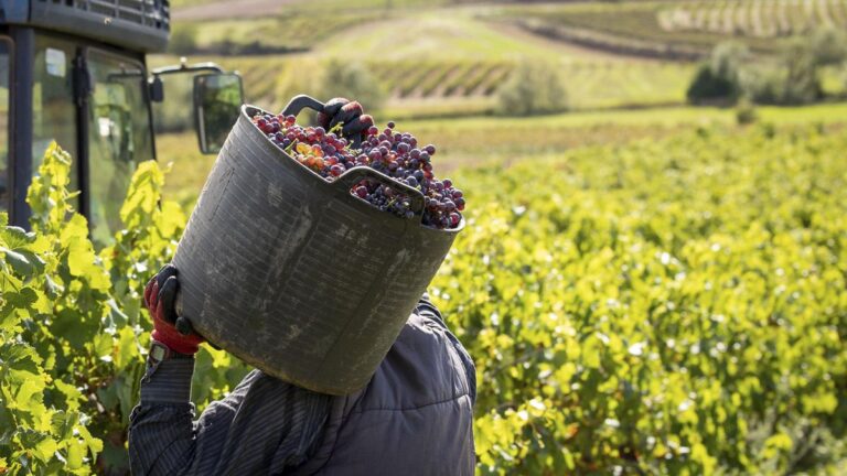 El acuerdo comercial entre la Unión Europea y Mercosur da el último paso para su firma: los detalles