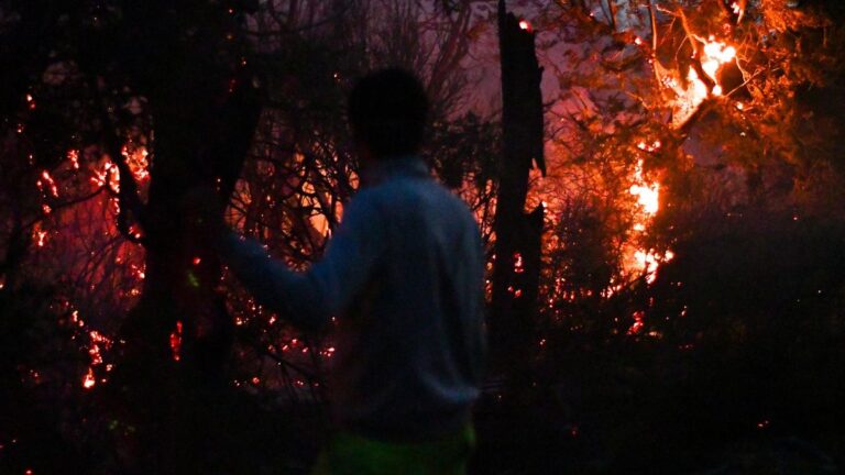 El fuego no da tregua en la Patagonia y los incendios forestales ya arrasaron 45.000 hectáreas El fuego no da tregua en la Patagonia y los incendios forestales ya arrasaron 45.000 hectáreas